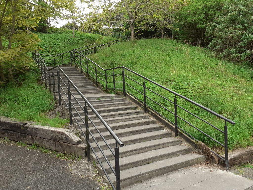 The Mass Steps in Leixlip